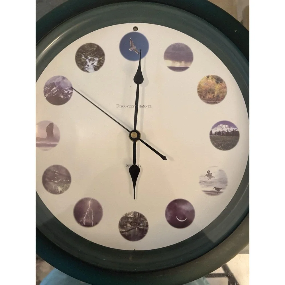 Vintage Discovery Channel Serenity Nature Sounds Wall Clock Tested Works Green